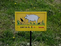 Signs Through-Out Chisinau's Central Park