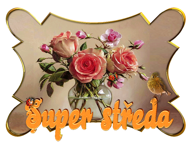 kvetka11: Super středa