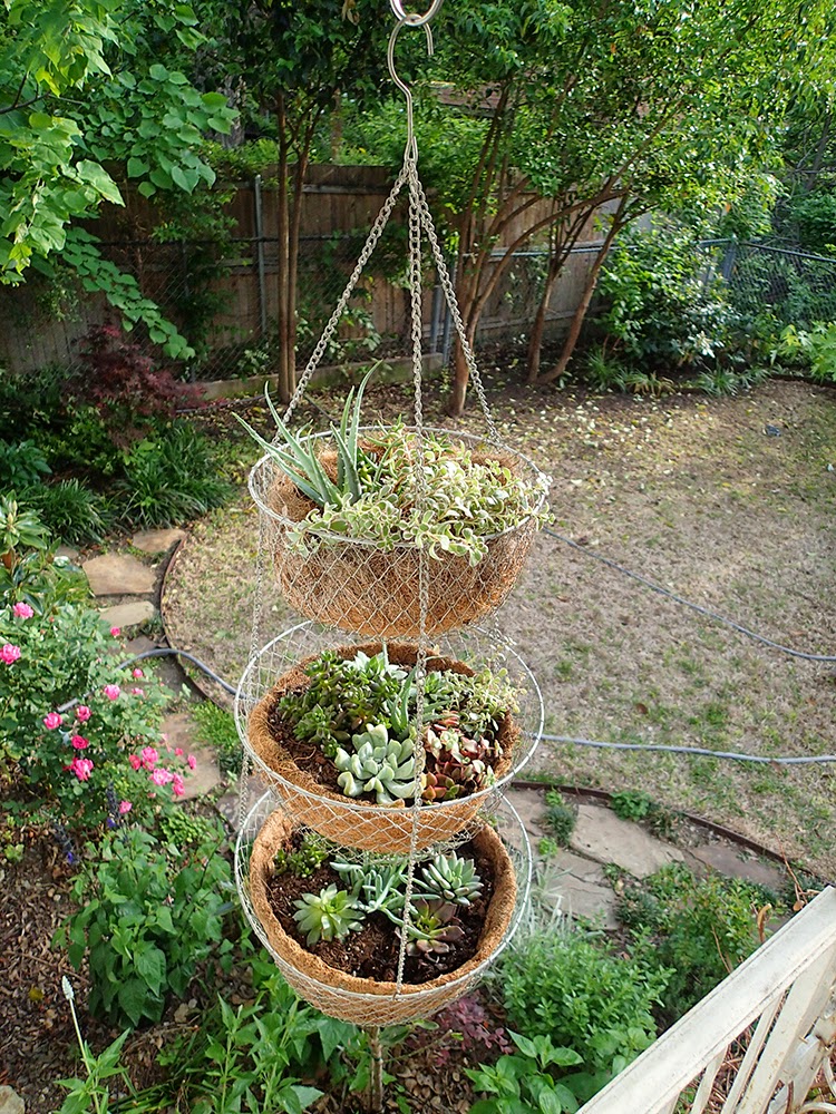 Carrie Fitzwater Designs Blog Vintage hanging basket for succulents