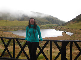 Lake at base of Nevado del Ruiz