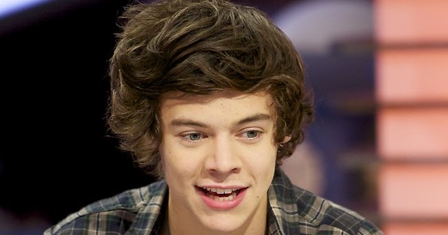 Learning Biografi ONE DIRECTION