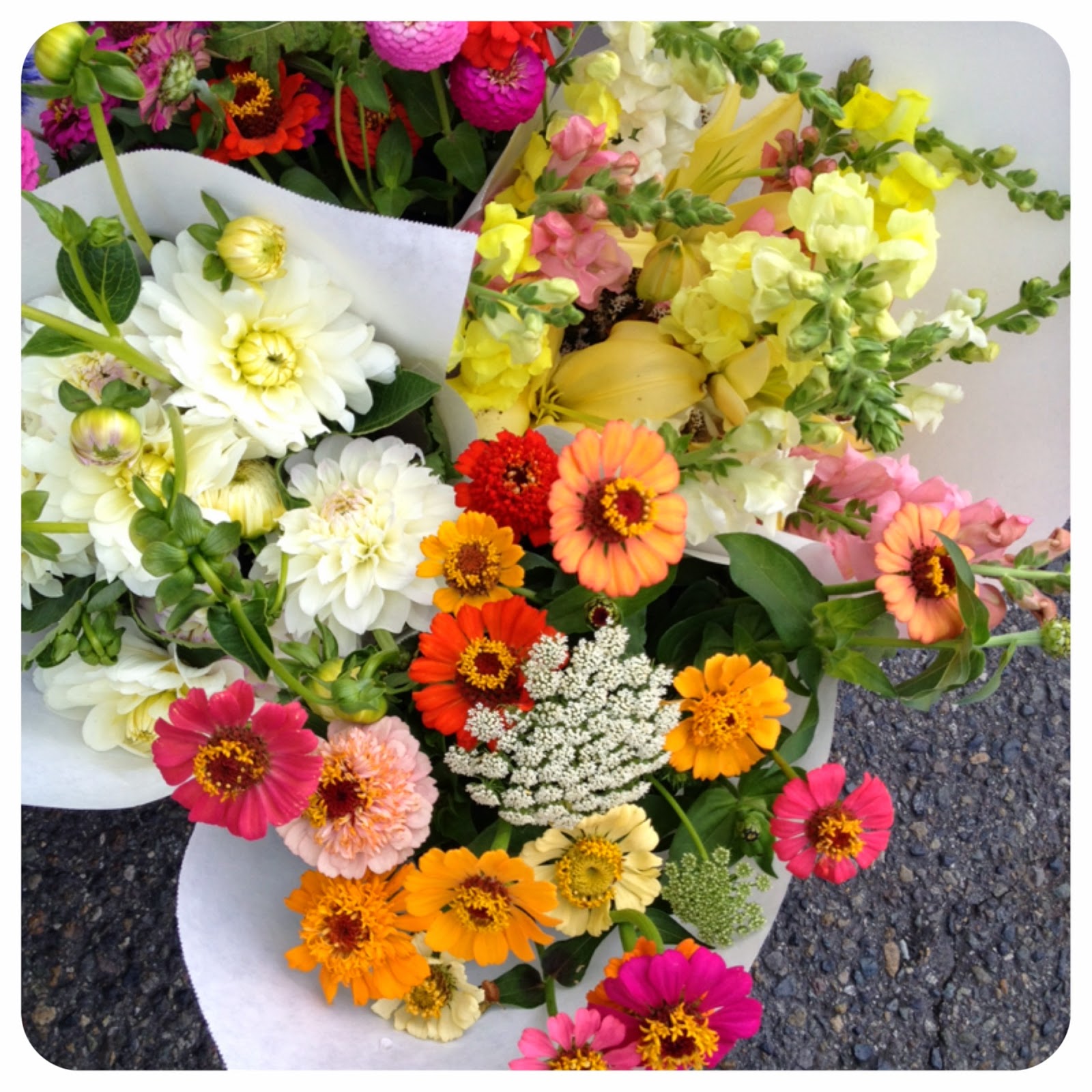 GIRLS PEARLS POWDER PNW Week Flowers Flowers Flowers