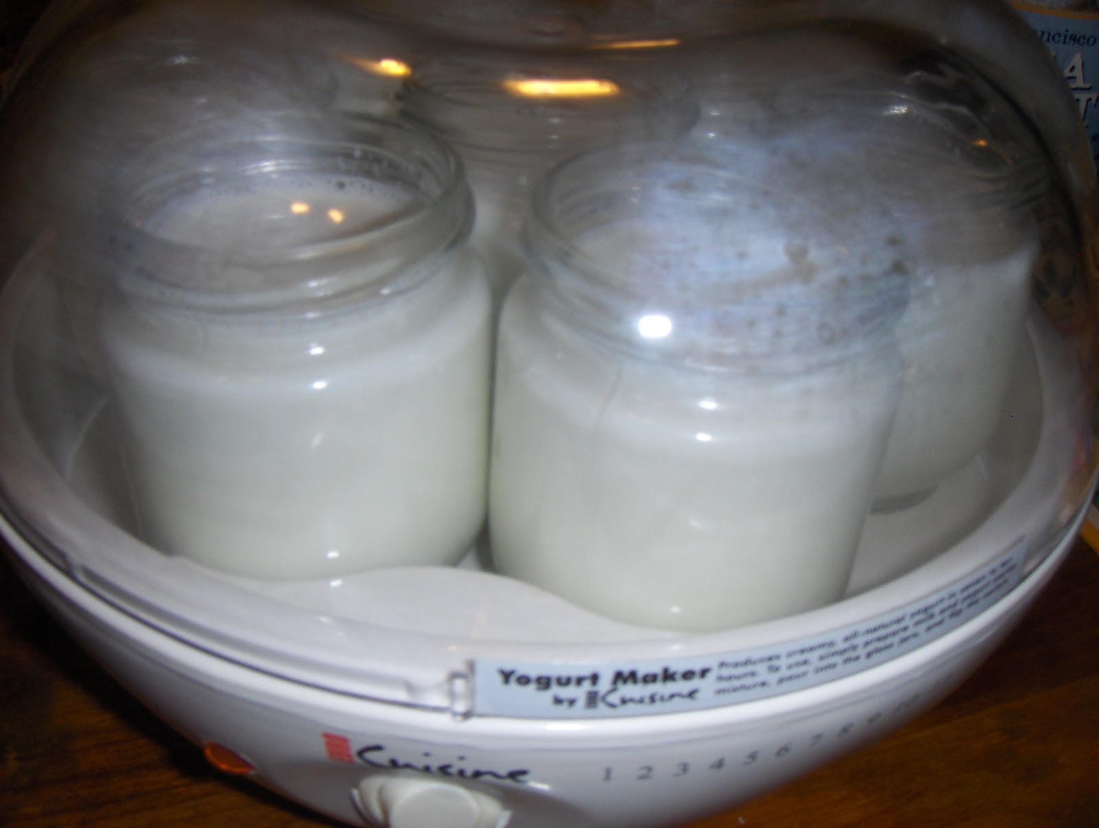 Consistently Sporadic! Homemade Yogurt Using a Yogurt Maker
