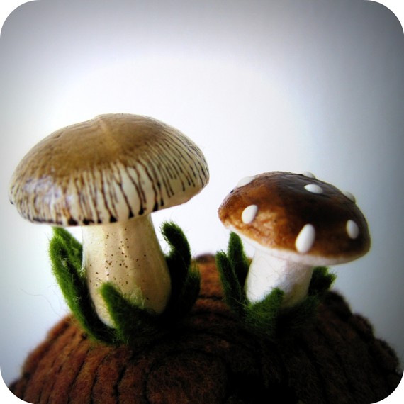 tarino bambino Mushroom Pin