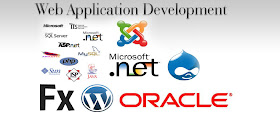 asp.net website development india