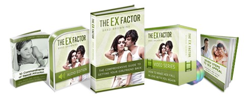 ex factor system by brad browning