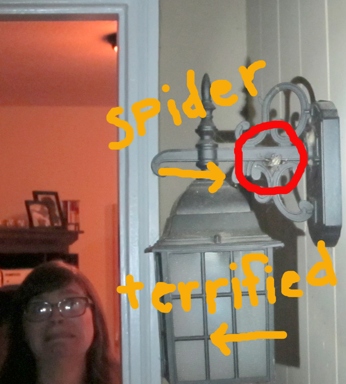 terrifying spiders
