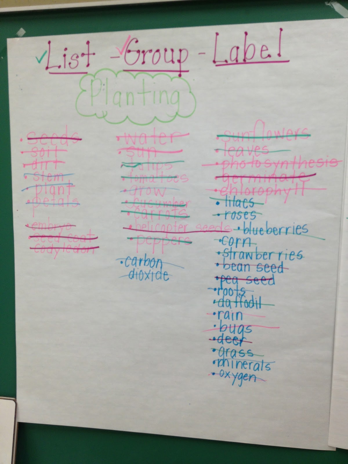 ListGroupLabel Vocabulary Strategy