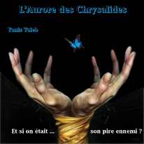 L'Aurore des Chrysalides