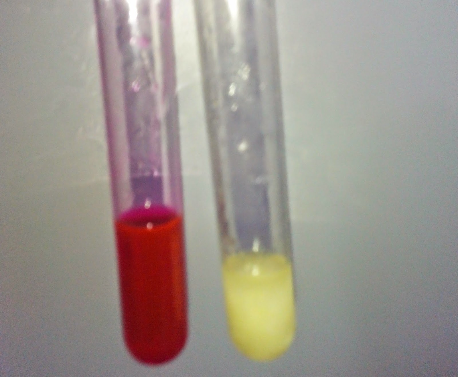 ADULTERATION मिलावट Adulteration in Milk & Milk Products, Check