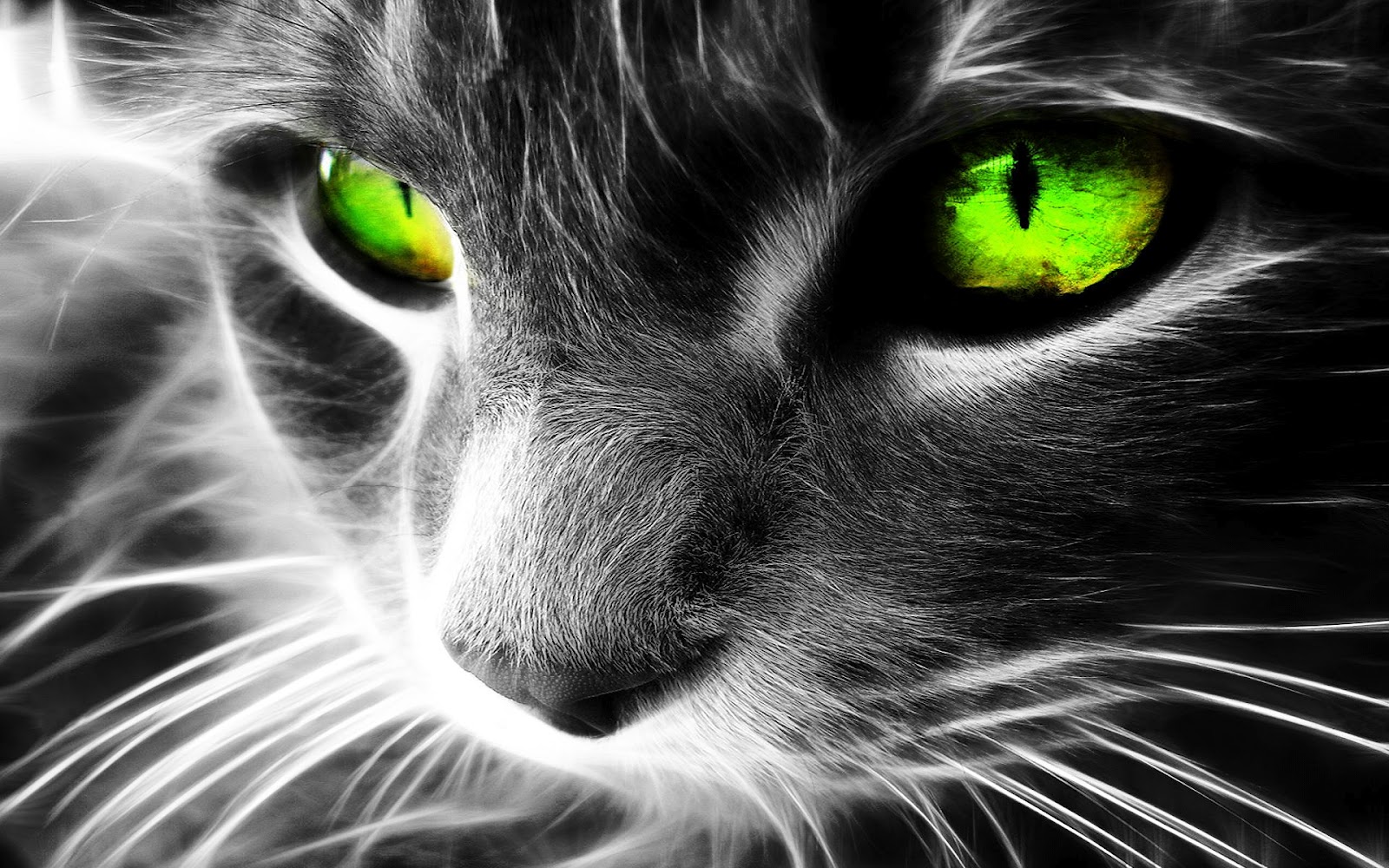 http://2.bp.blogspot.com/-Q33oaCPHZNg/T3AExB4MShI/AAAAAAAAAws/EB1yAvEvW3o/s1600/wallpaper+hd+widescreen+3.jpg