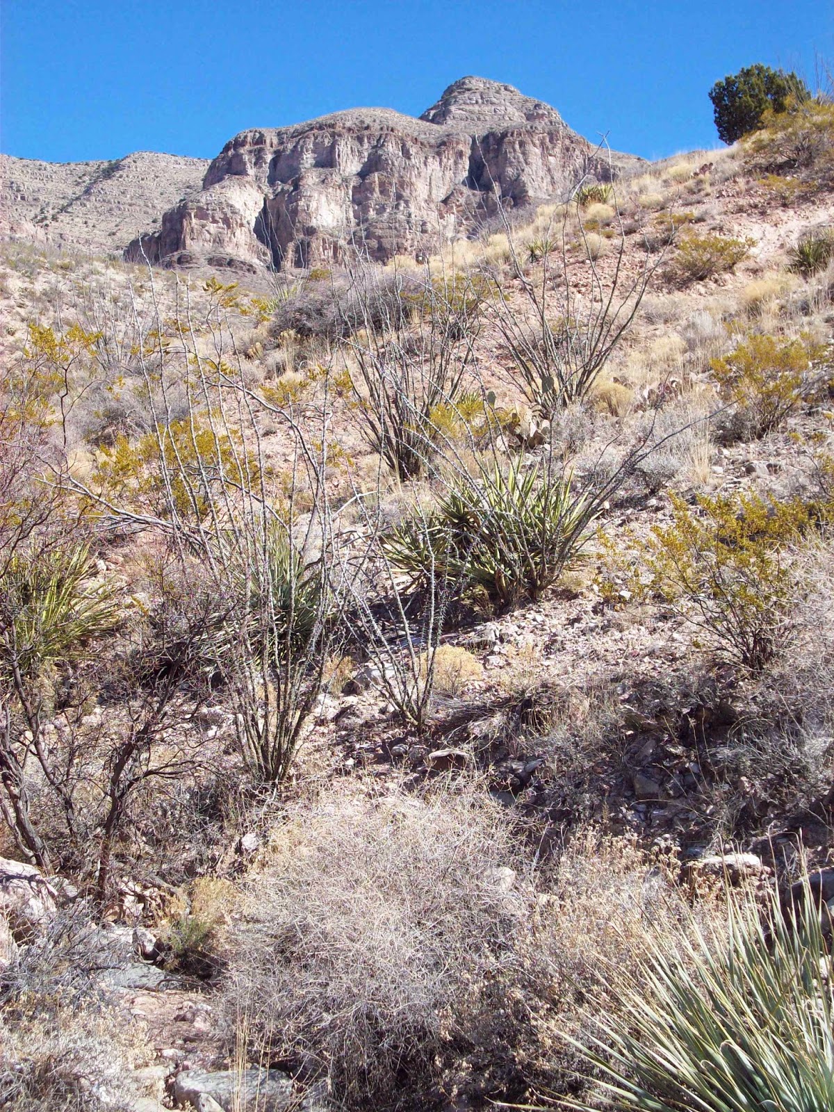 Southern New Mexico Explorer Caballo Mountains