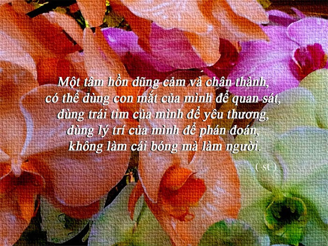 Những câu danh ngôn về cuộc sống hay và ý nghĩa - Hình 8 Những câu danh ngôn về cuộc sống hay và ý nghĩa - Hình 8