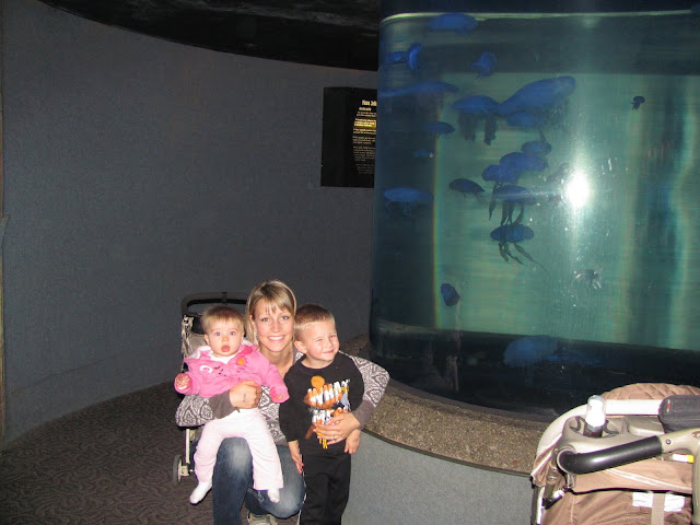 Aquarium at the zoo