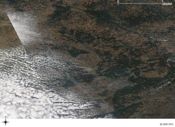 Image result for albatros z lotu ptaka