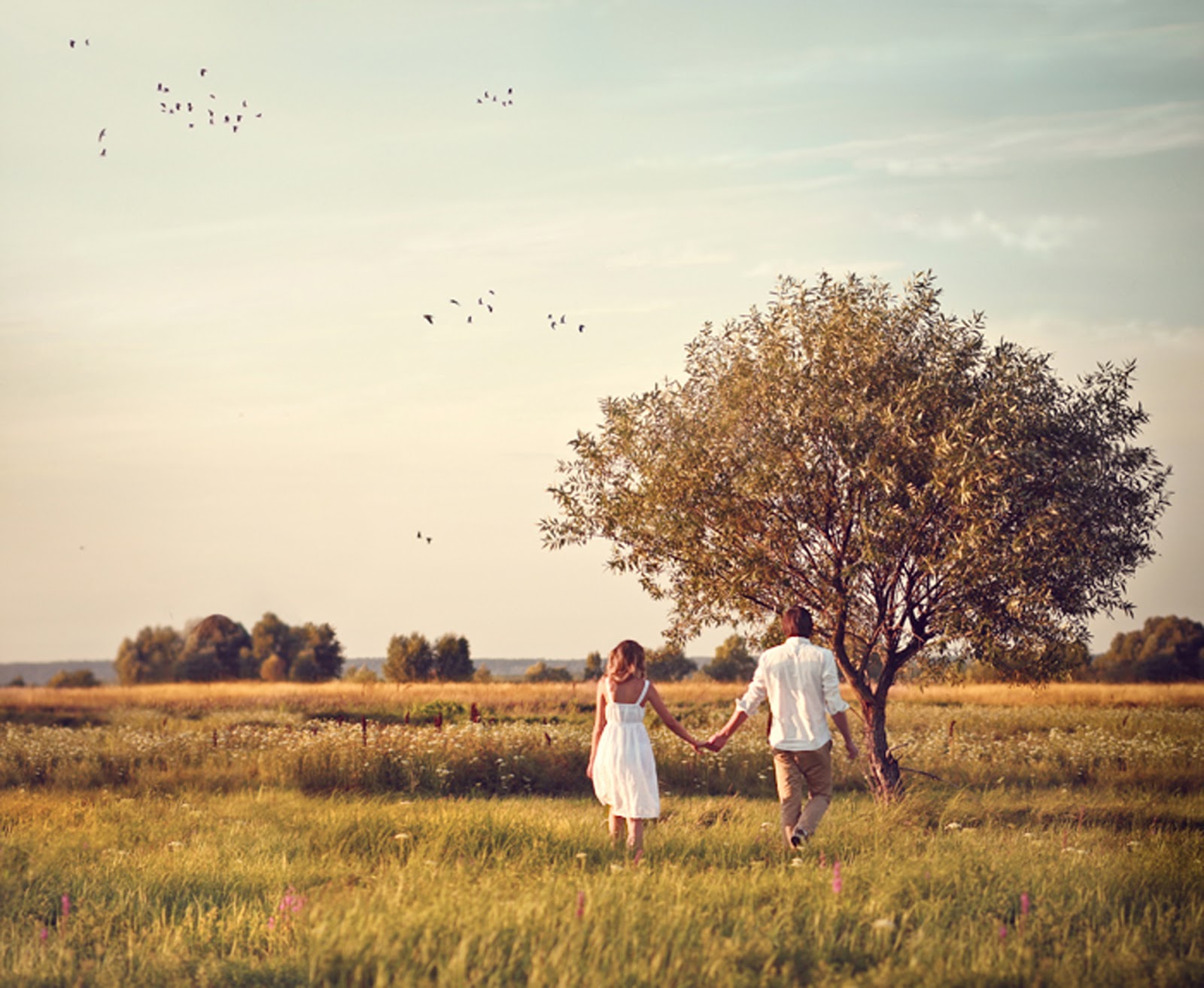 Strauch Mit Herzformigen Blattern Steemit