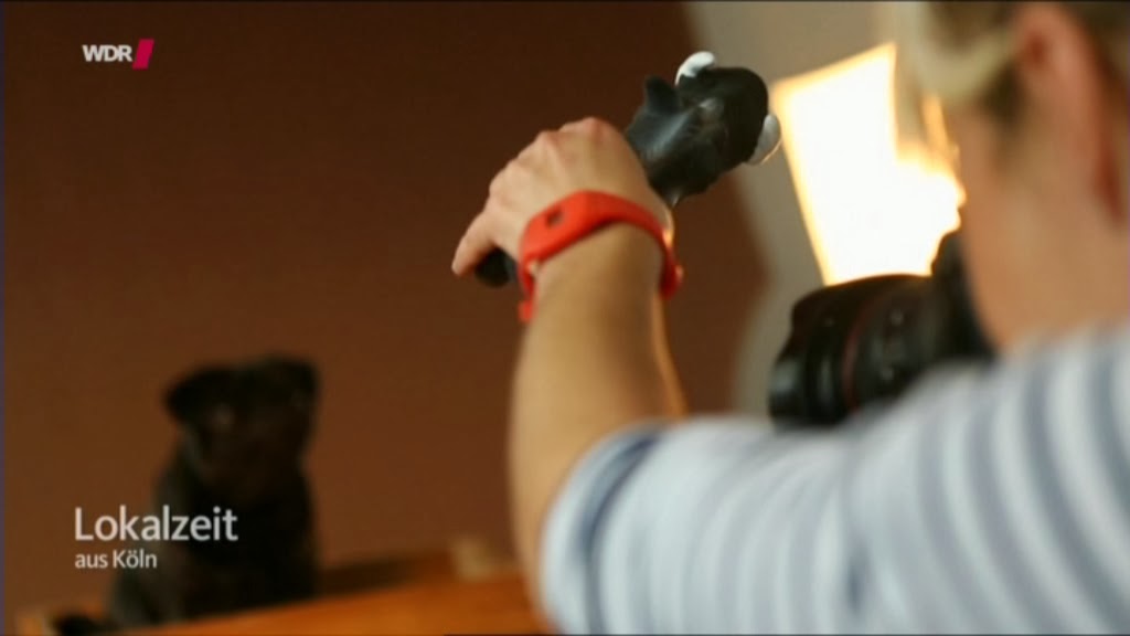 Creadienstag Naturlich Kalligrafisch Und Tierisch Kalligrafisch