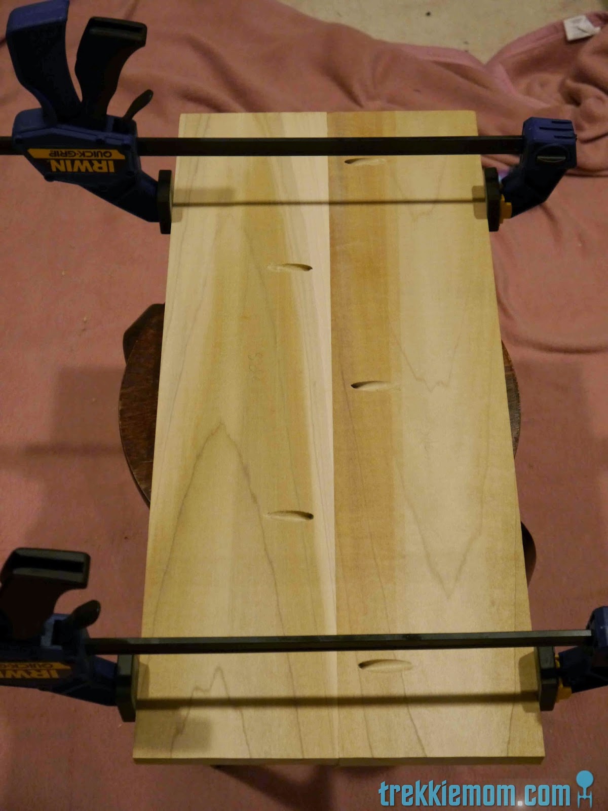 Trekkie Mom Iron and Ironing Board Holder