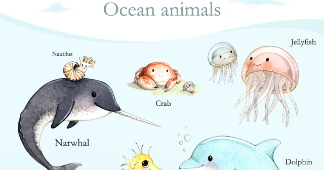 joojoo: Ocean animals poster + Free shipping