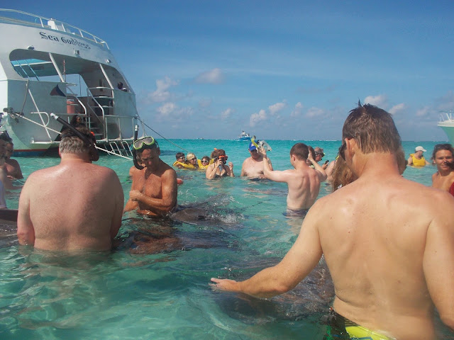 stingray city grand cayman