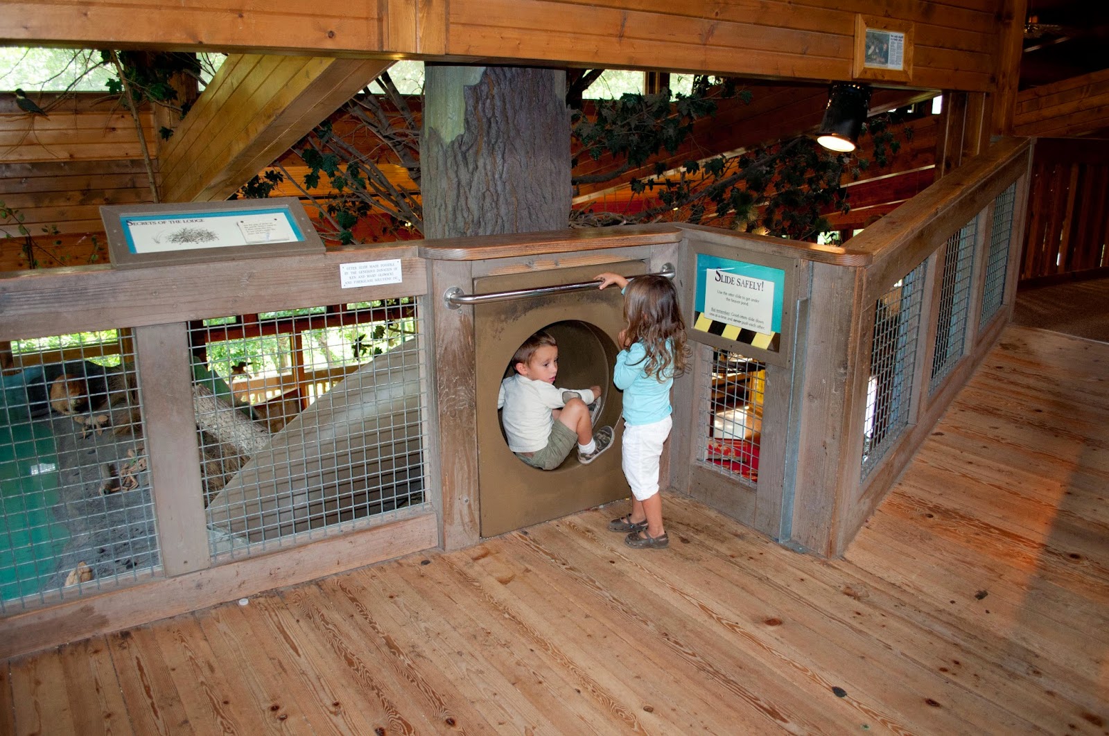 The Adventures of Asher & Journey Bay Beach Wildlife Sanctuary, Green
