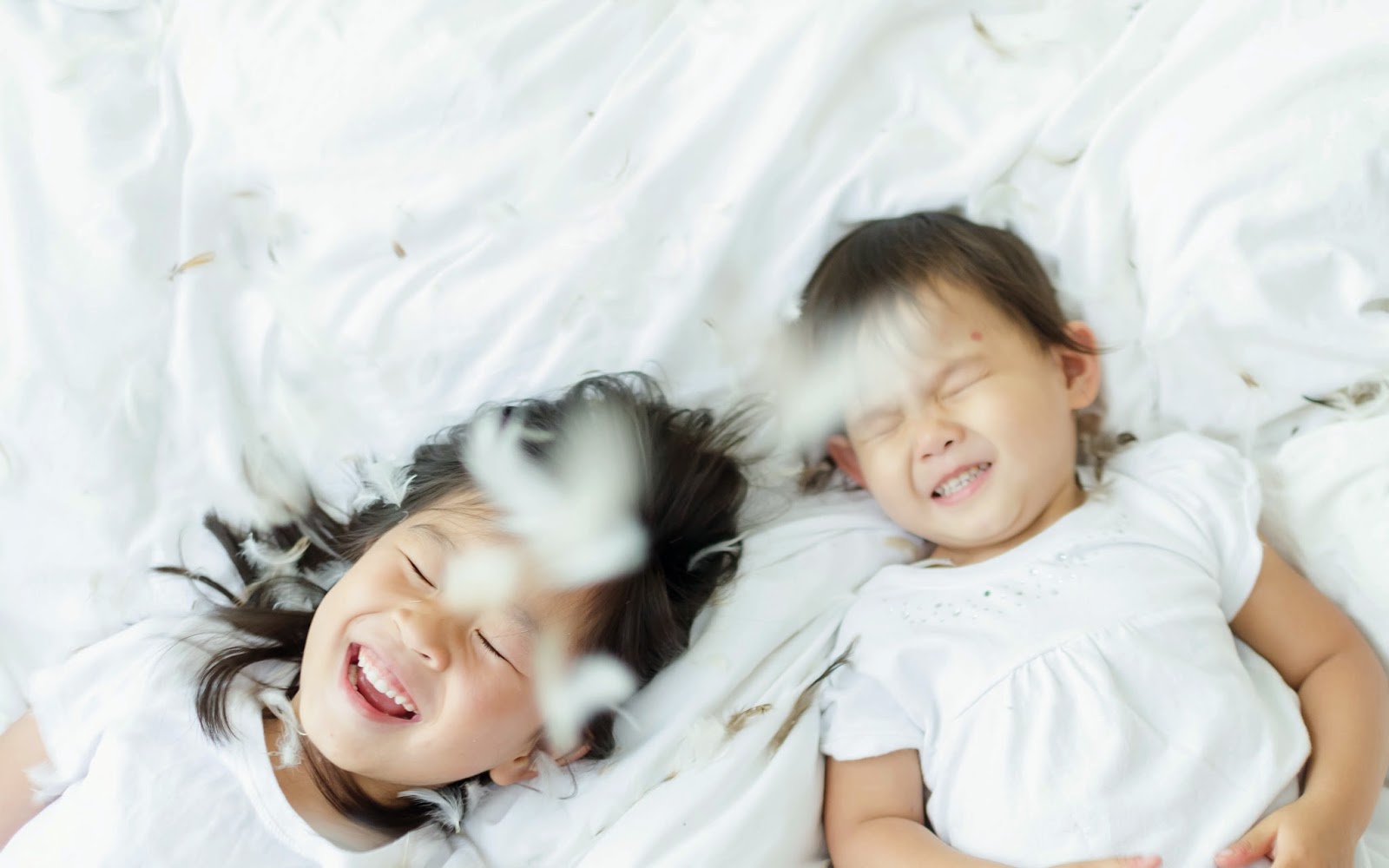 belovedones pillow fight!!