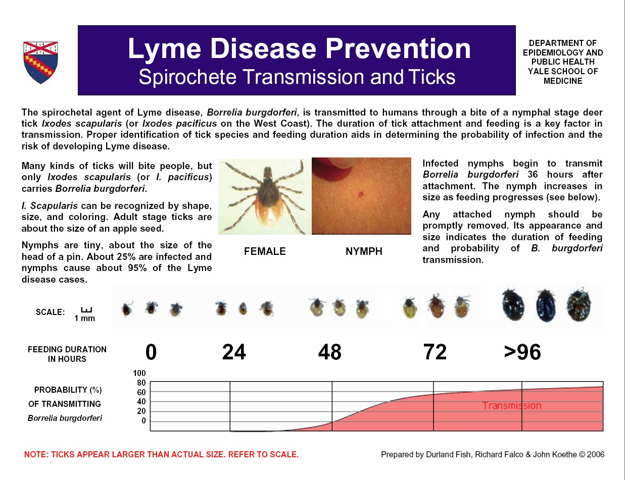 Scared Tickless Lyme 101