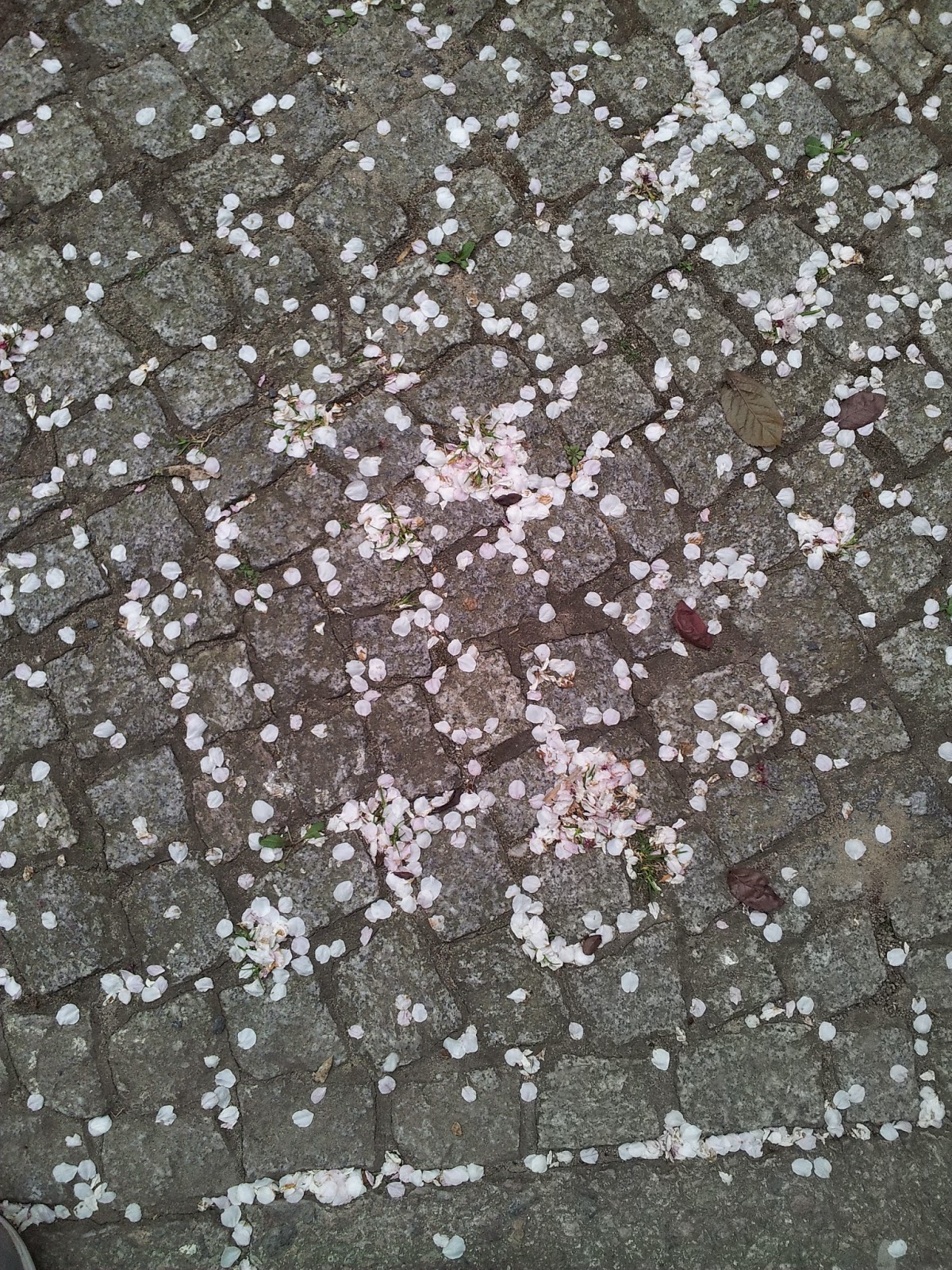 Runzelfuesschen Wochenende in Bildern Runzelfuesschen Wochenende in Bildern