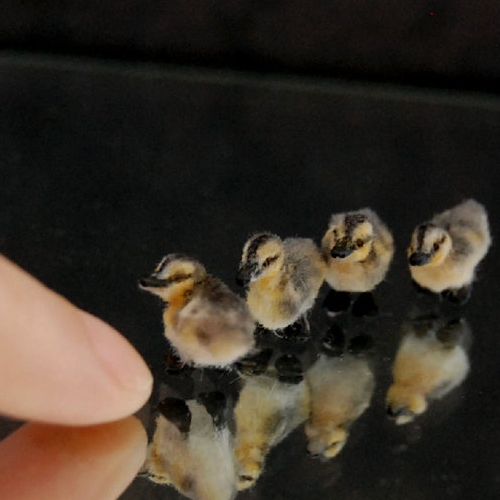 24-Mallard-Ducklings-ReveMiniatures-Miniature-Animal-Sculptures-that-fit-on-your-Hand-www-designstack-co