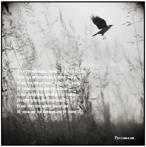 Руставели необходимое одиночество переиздание скачать книгу бесплатно Руставели необходимое одиночество переиздание скачать книгу бесплатно