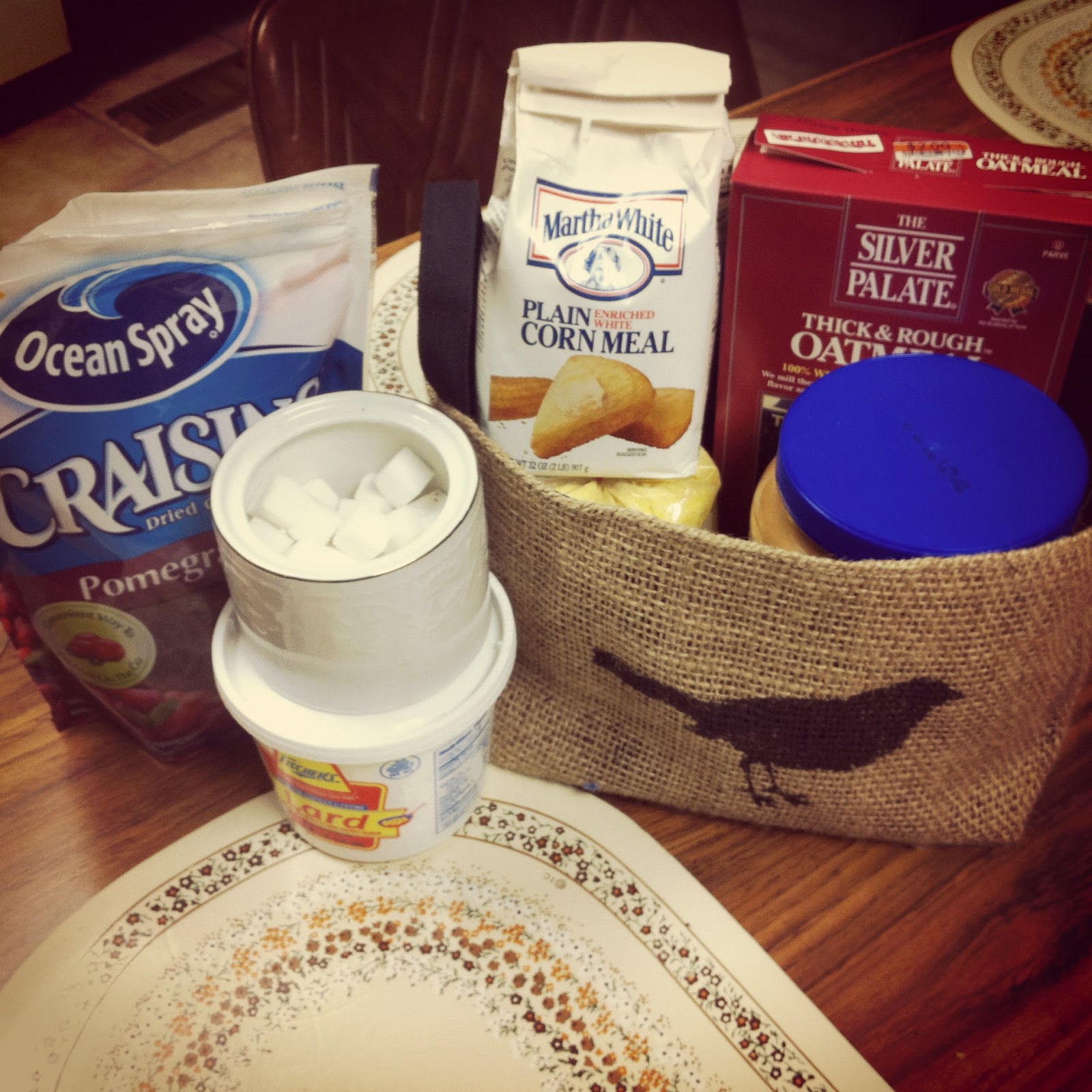 A cup of T DIY Bird Suet Cakes