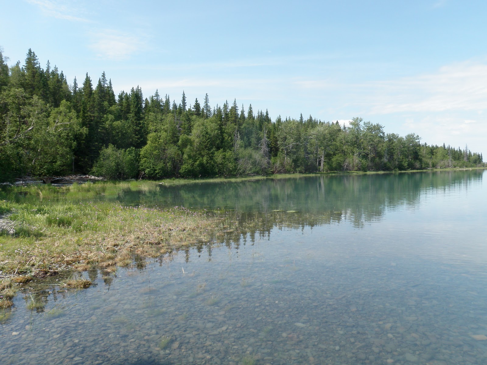 Skilak Lake Cabin Adventures