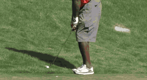 jordan 6 golf