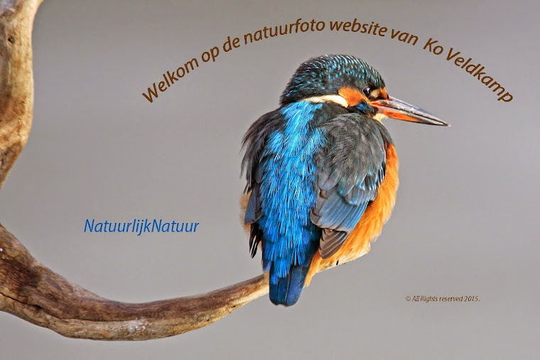 NatuurlijkNatuur