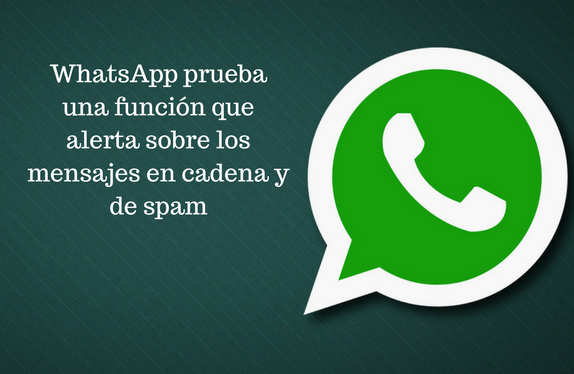 WhatsApp prueba alertas de Spam