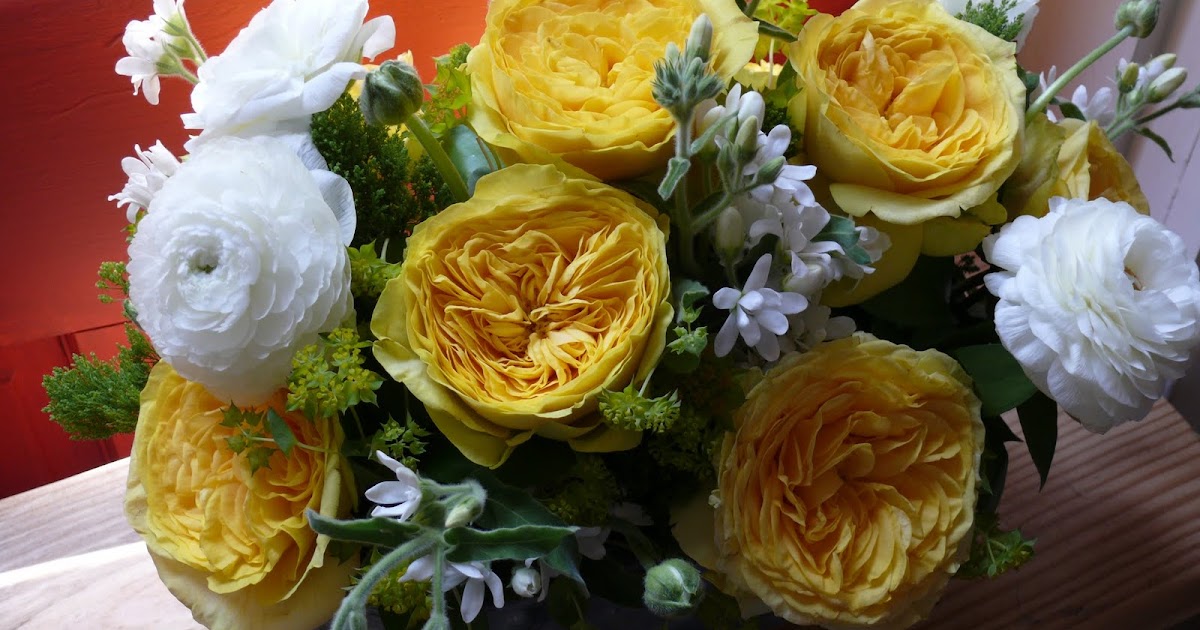 La Fleur Vintage The Yellow (Garden) Rose of Texas