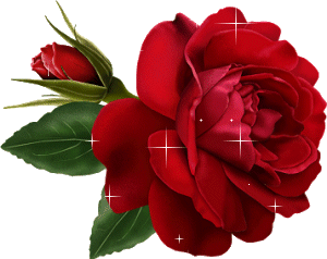 الورد متحركة ...   Roses+Picture