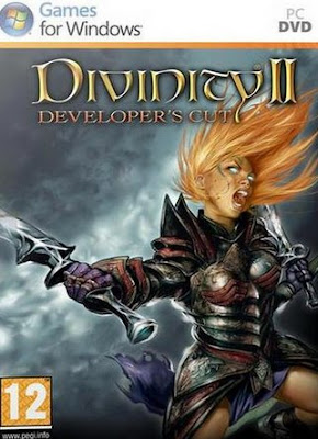 best single player rpg pc games 2013