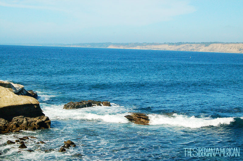 La Jolla Trolley Tour La Jolla Trolley Tour