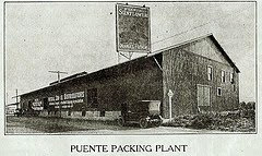 THE MARKETING OF "PUENTE, CAL" 1921