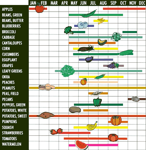 Fruit And Vegetable Availability Chart