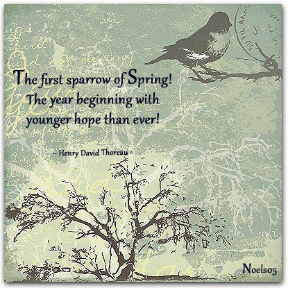 Funny Spring Quotes Inspirational. QuotesGram Funny Spring Quotes Inspirational. QuotesGram