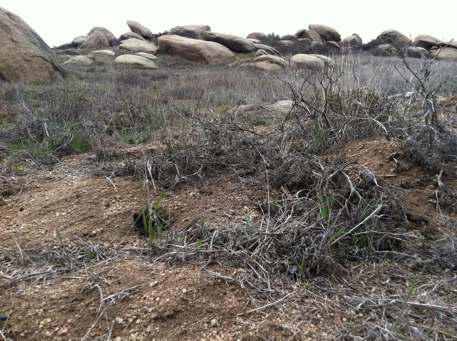 Nourishment Notes At a Glance Hiking Through Box Springs Mountain Reserve