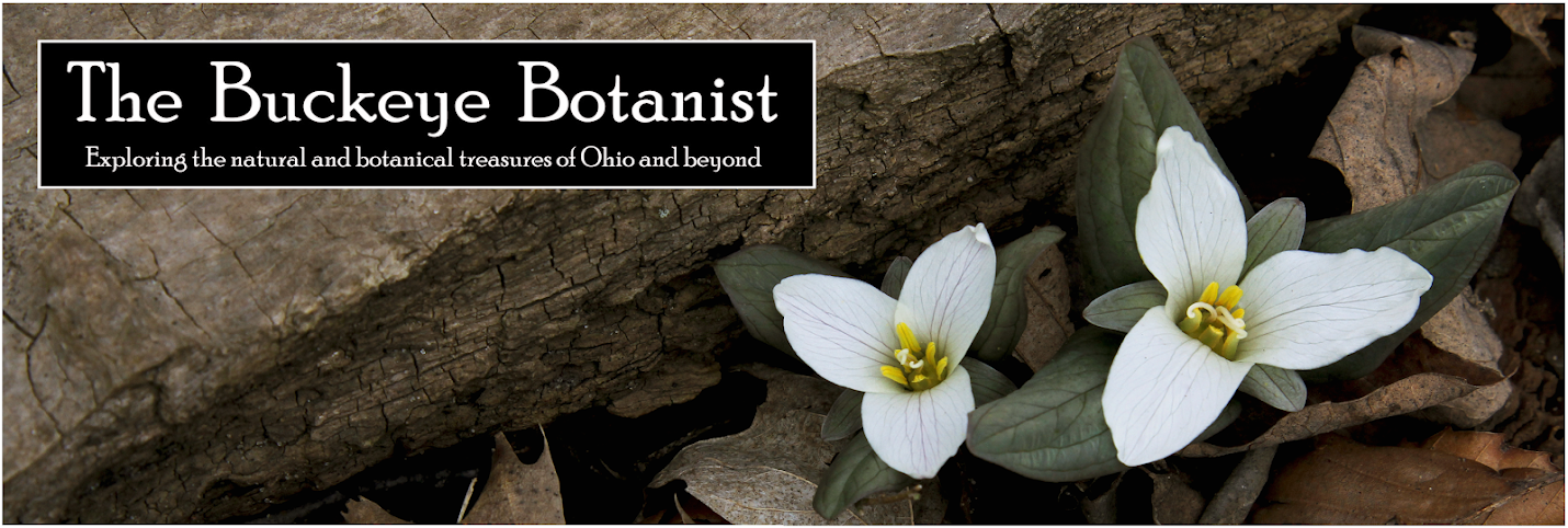 The Buckeye Botanist
