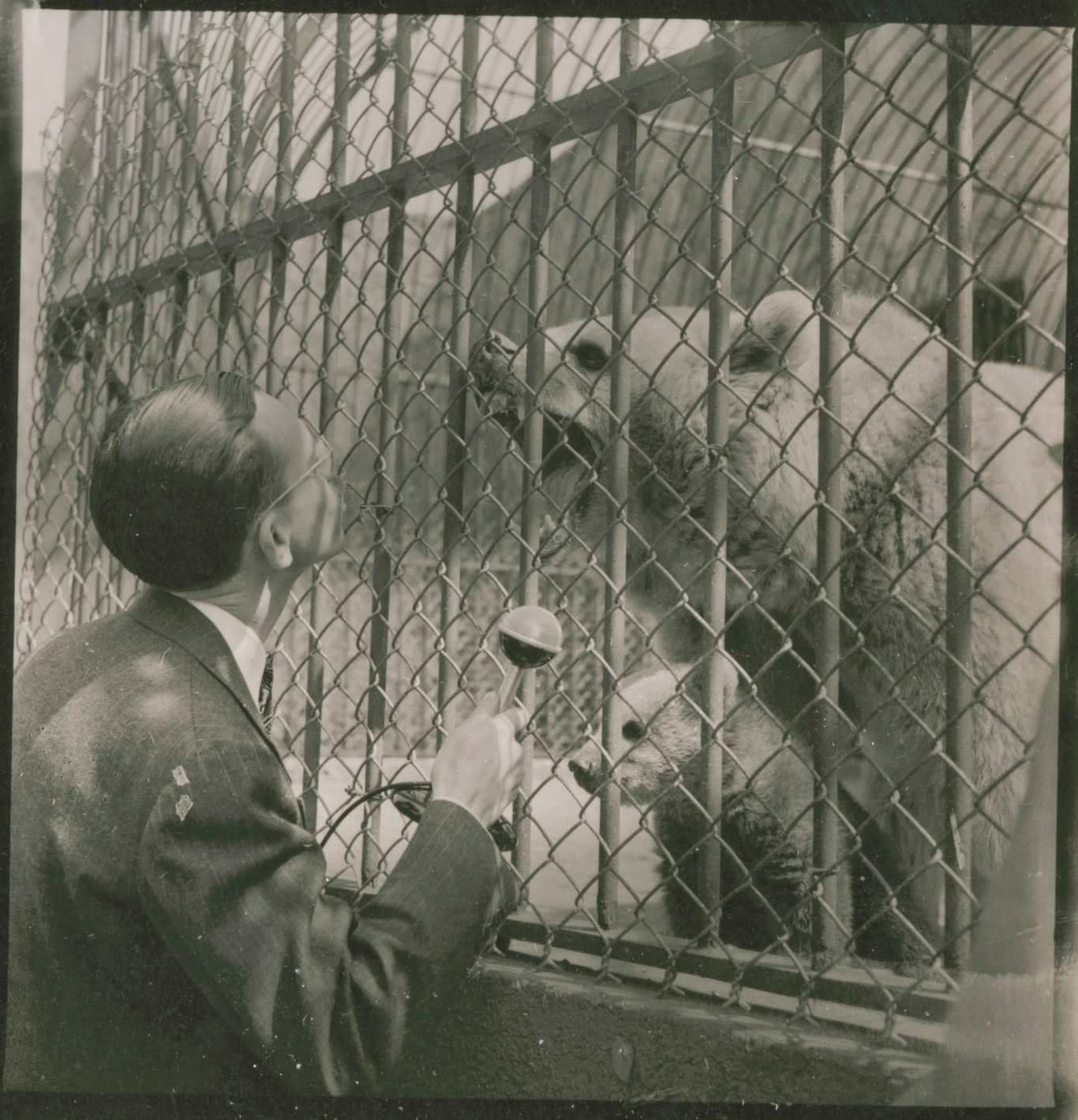 Arthur M Greenhall Nicholas Collias Sounds Of Animals Audible Communication Of Zoo And Farm Animals Arthur M Greenhall Nicholas Collias Sounds Of Animals Audible Communication Of Zoo And Farm Animals
