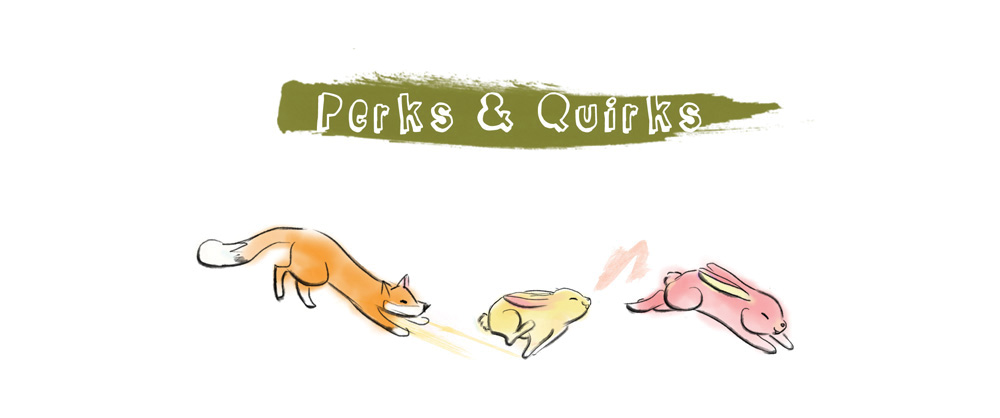 Perks & Quirks