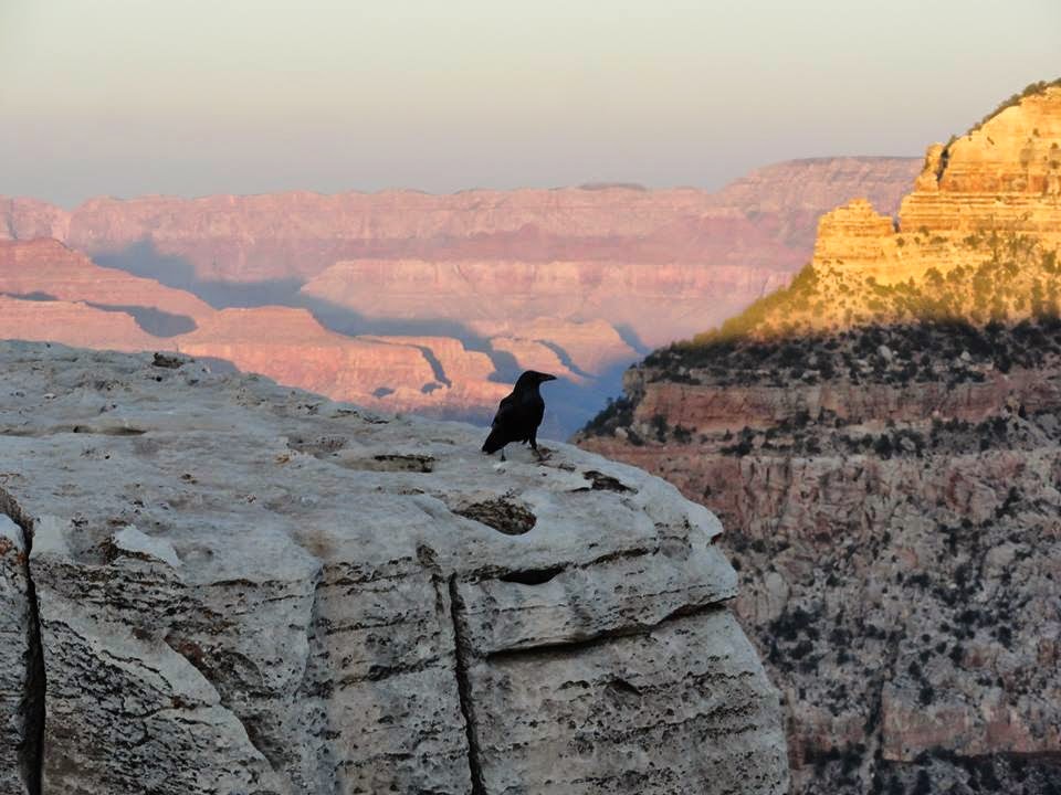 O Corvo, Grand Canyon