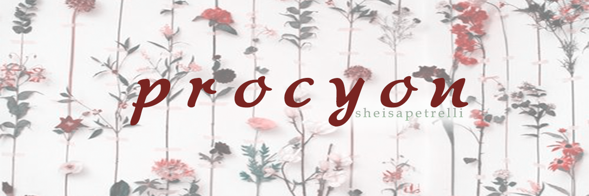 procyon