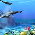 Animated Wallpaper