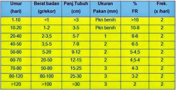 cara budidaya ikan lele dengan sistem bioflok gerak maju cara budidaya ikan lele dengan sistem bioflok gerak maju